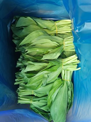 재화농원(이재권)님의 자유주제 · 자유게시판 작성글 사진