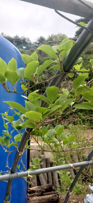 김해숙님의 자유주제 · 자유게시판 작성글 사진