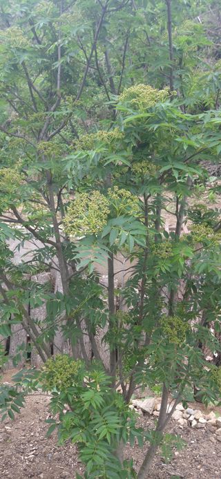 김해숙님의 자유주제 · 자유게시판 작성글 사진