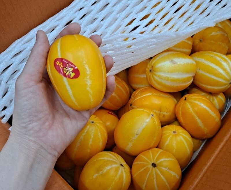 장터 상품 [산지직송 성주 꿀 참외 당일배송 3kg 5kg 10kg(랜덤과)] 썸네일