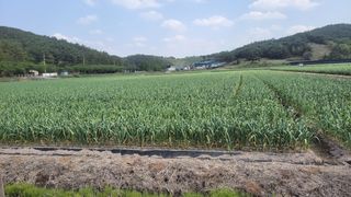 농사꾼 단비님의 작성글 사진