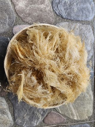 김태환님의 작성글 사진