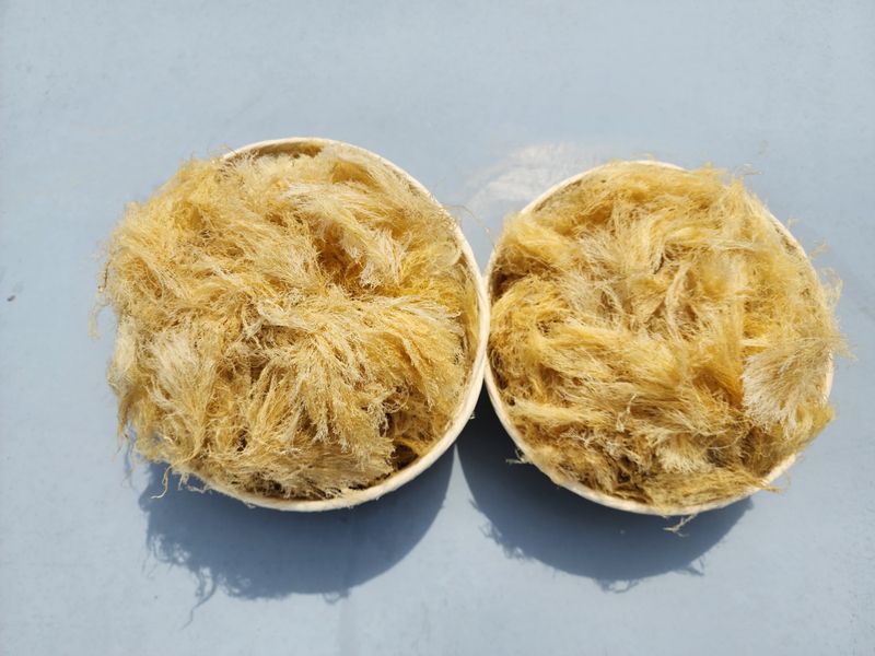 김태환님의 장터 판매 상품 [(도하네농장)제주 청정 우뭇가사리 팔아요] 첨부 사진