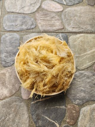 김태환님의 작성글 사진