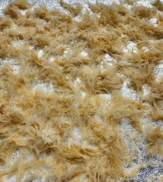 김태환님의 작성글 사진