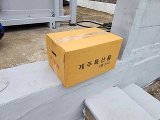 김태환님의 작성글 사진