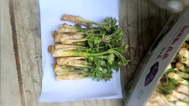 장터 상품 [땅두릅  1키로] 썸네일