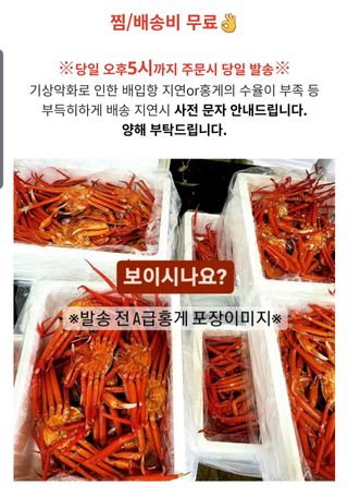 노가네수산님의 작성글 사진