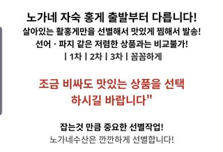 노가네수산님의 작성글 사진