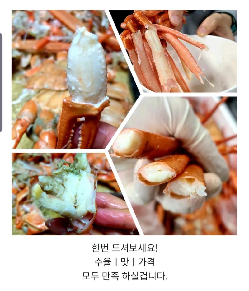 노가네수산님의 장터 판매 상품 [노가네] 자숙 속이꽉찬 A급 독도홍게 2kg.3kg] 첨부 사진