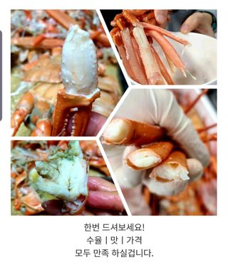 노가네수산님의 작성글 사진