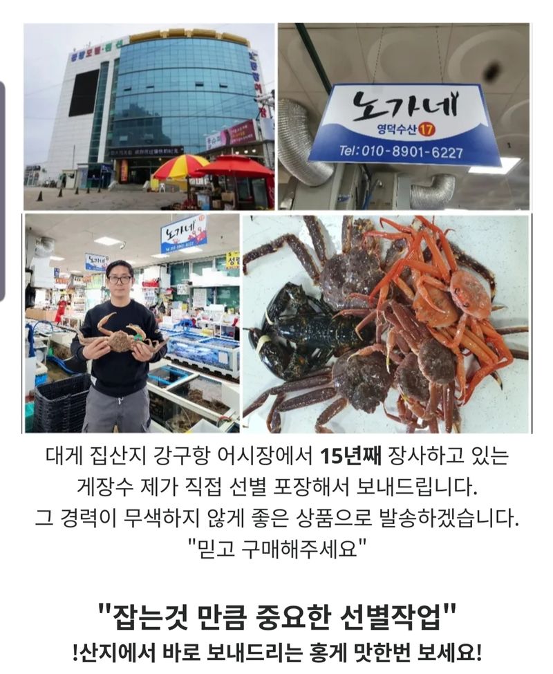 노가네수산님의 장터 판매 상품 [노가네] 자숙 속이꽉찬 A급 독도홍게 2kg.3kg] 첨부 사진