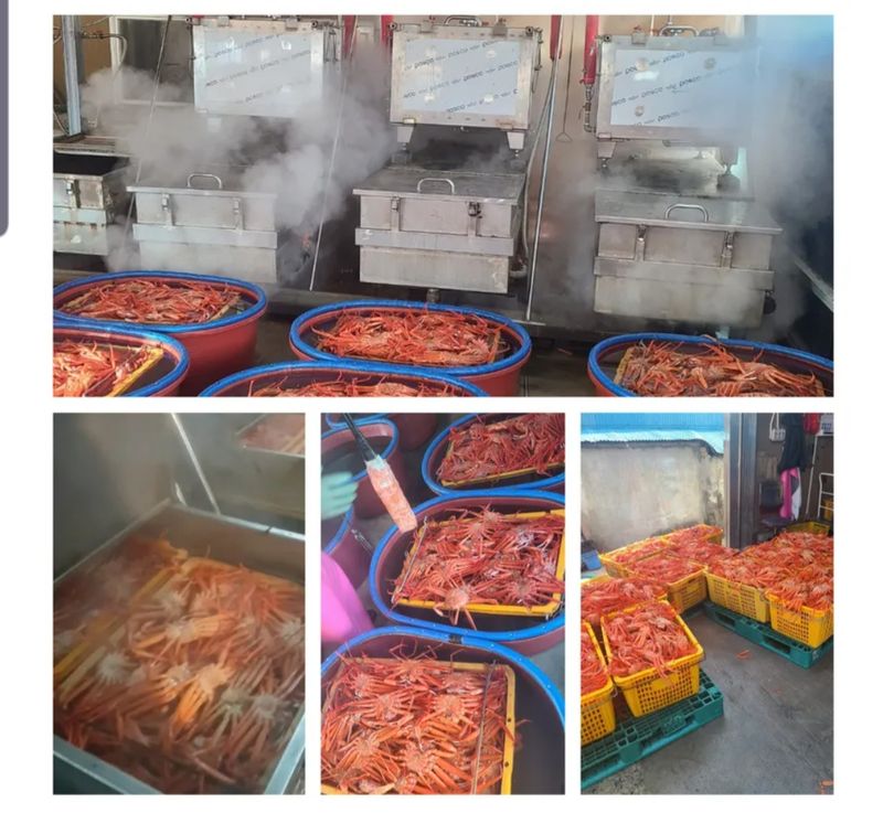 노가네수산님의 장터 판매 상품 [노가네] 자숙 속이꽉찬 A급 독도홍게 2kg.3kg] 첨부 사진