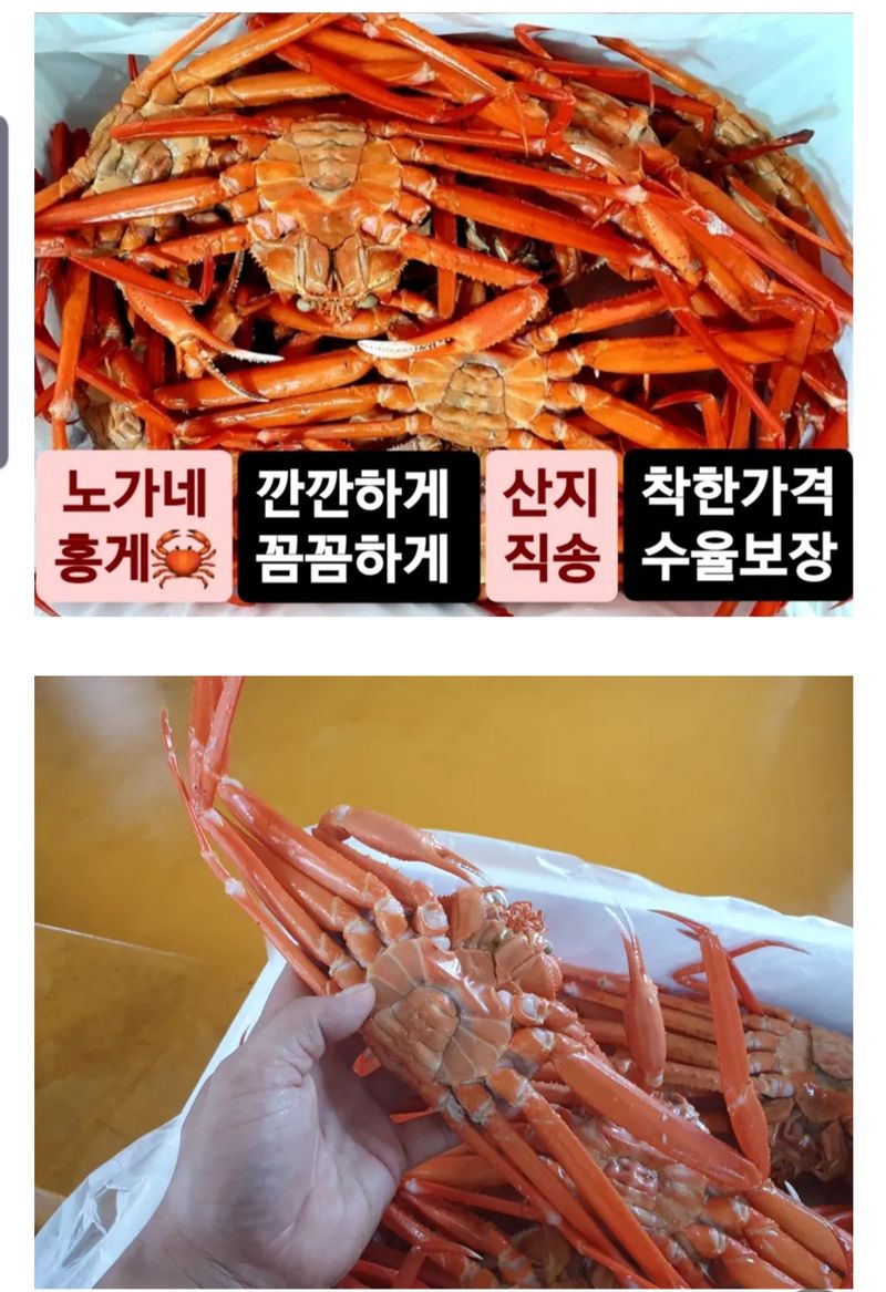 노가네수산님의 장터 판매 상품 [노가네] 자숙 속이꽉찬 A급 독도홍게 2kg.3kg] 첨부 사진