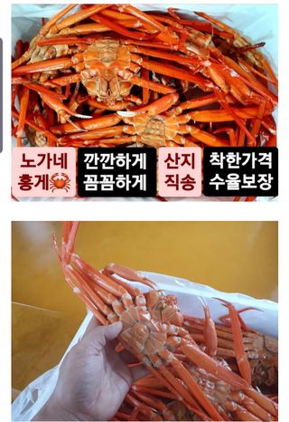 노가네수산님의 작성글 사진