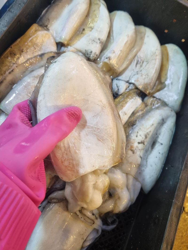 목포제주수산님의 장터 판매 상품 [갑오징어 1마리 15,000원] 첨부 사진