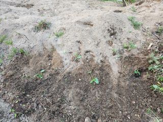 김찬우님의 자유주제 · 자유게시판 작성글 사진