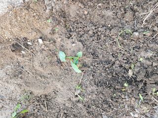 김찬우님의 자유주제 · 자유게시판 작성글 사진