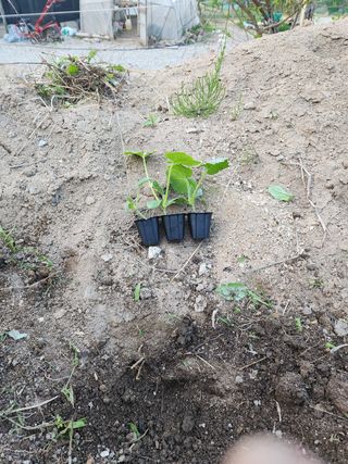 김찬우님의 자유주제 · 자유게시판 작성글 사진