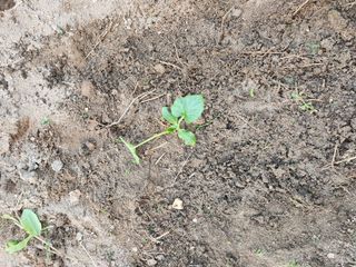 김찬우님의 자유주제 · 자유게시판 작성글 사진