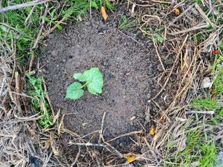 김찬우님의 자유주제 · 자유게시판 작성글 사진