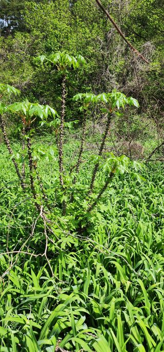 박필진님의 기타작물 · 자유게시판 작성글 사진