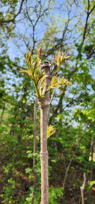 박필진님의 기타작물 · 자유게시판 작성글 사진