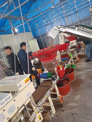 사천시향촌동 돼지띠님의 벼 · 자유게시판 작성글 사진