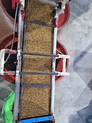 사천시향촌동 돼지띠님의 벼 · 자유게시판 작성글 사진