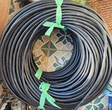 팜모닝 · 게시글 이미지