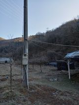 팜모닝 사과·병해충상담 게시글 이미지