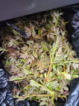 김상임님의 작성글 사진