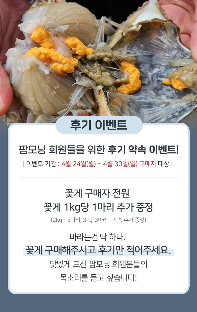 임지원님의 장터 판매 상품 [[지웅수산] 인천에서 조업한 국내산 활 암꽃게 판매합니다! ※품절※] 첨부 사진