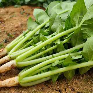 엄미애님의 작성글 사진