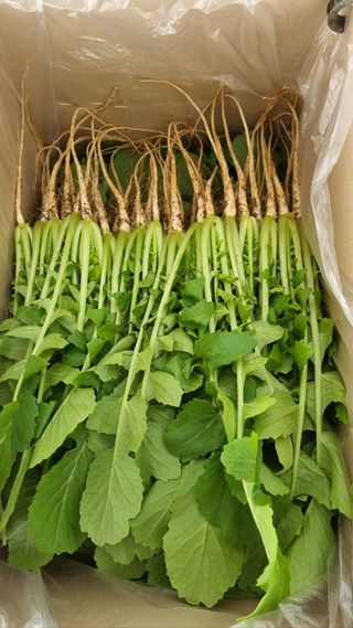 엄미애님의 작성글 사진