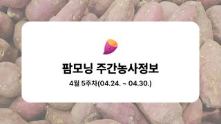 고구마 농사도우미님의 고구마 · 농사길잡이 작성글 사진