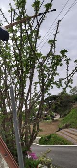 팜모닝 자유주제·자유게시판 게시글 이미지