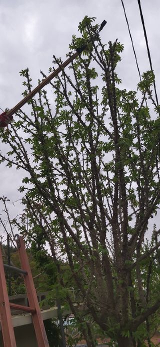 김해숙님의 자유주제 · 자유게시판 작성글 사진