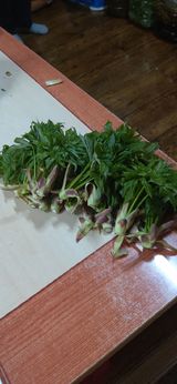 팜모닝 자유주제·자유게시판 게시글 이미지