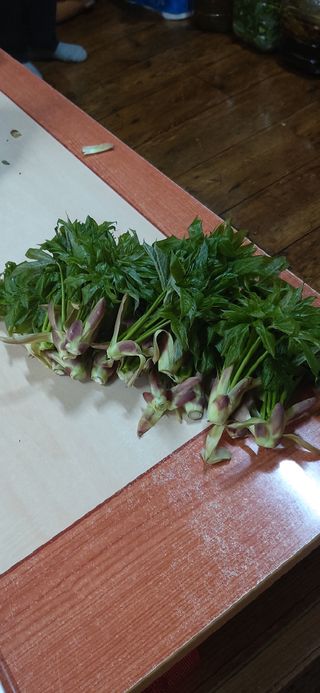 김해숙님의 자유주제 · 자유게시판 작성글 사진