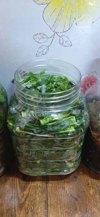 김해숙님의 자유주제 · 자유게시판 작성글 사진