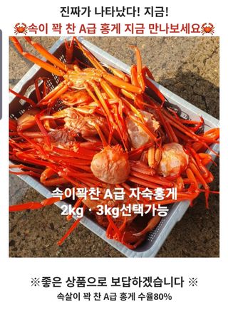 노가네수산님의 우리동네 · 동네정보 작성글 사진