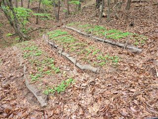 조영진 님의 자유주제 · 자유게시판 작성글 사진