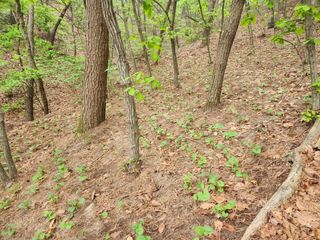 조영진 님의 자유주제 · 자유게시판 작성글 사진