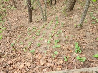 조영진 님의 자유주제 · 자유게시판 작성글 사진
