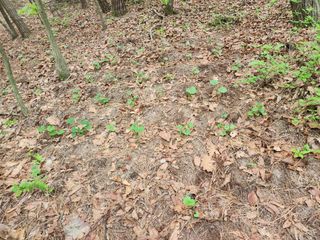 조영진 님의 자유주제 · 자유게시판 작성글 사진