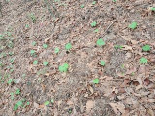 조영진 님의 자유주제 · 자유게시판 작성글 사진