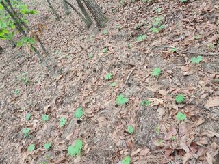 조영진 님의 자유주제 · 자유게시판 작성글 사진