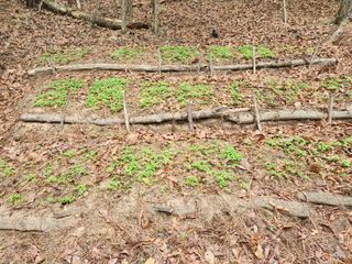 조영진 님의 자유주제 · 자유게시판 작성글 사진