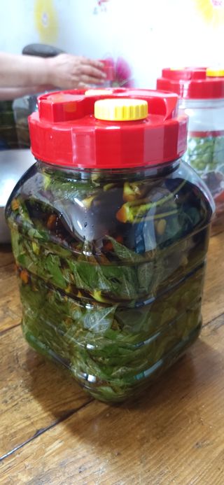 김해숙님의 자유주제 · 자유게시판 작성글 사진